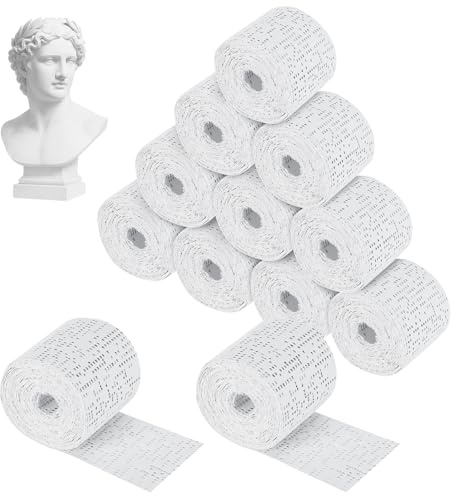Alitree Bende Gessate per Calchi 12 Pezzi,5x270cm Professionale con Gesso, Garze per Stampa Pancione,Viso,Corpo,Garze Gesso,Asciugatura Rapida per Maschere,Scultura,Modellazione,Fai da Te