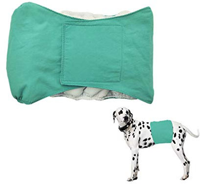 Smniao Hygieneunterhose für Hündinnen Rüden Hundewindeln Inkontinenz Haustier Weibliche groß Hund Katze Windel Schutzhose Unterwäsche (M, Grün)