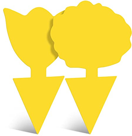 Garsum Gnat Killer intérieur pièges à Mouches des Fruits Jaune Plantes collantes Insecte Champignon Mouche Catcher extérieur,18 Pack