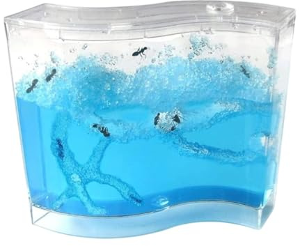 Ameisen Terrarium Ameisenfarm-Box, Gel-Labyrinth, Ameisenburg, Ameisen Bei Der Arbeit Beobachten, Ameisennest, Farmwelt, Haustierhaus, Ameisenlebensraum Ameisenfarm Zubehör(Blue)
