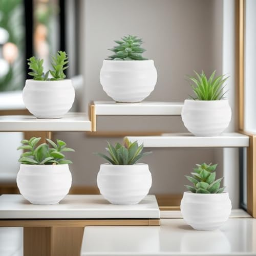 Gdfnmogo Set of 6 Artificial Succulent Plants in Pots for Home and Office Decor, Mini Fake Plants with Realistic Appearance, No Maintenance Required