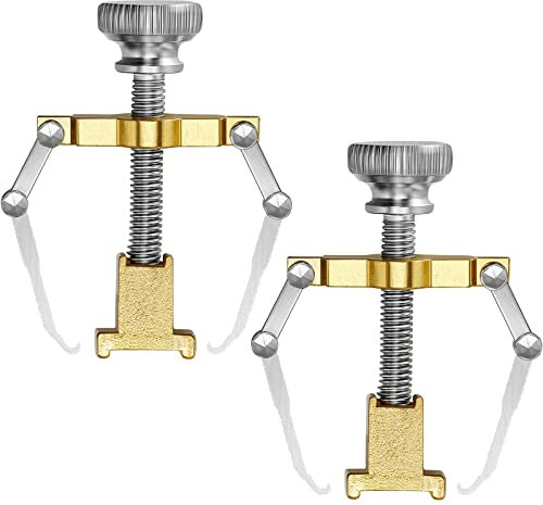 2 Pièces Lifter d'Ongle Incarné Outil Ongle Incarné Pince d'Orteil en Acier Inoxydable Outil de Soins des Pieds pour Paronychia (Or)