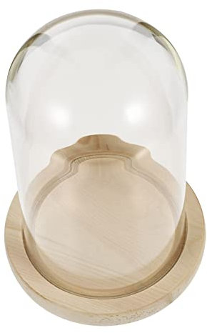 Cabilock 1satz Preserved Flower Glass Cover Mit Holzsockel Dekorative Glasabdeckung Für Mikrolandschaften Und Trockenblumen Für Tischdekoration Und Ausstellungen