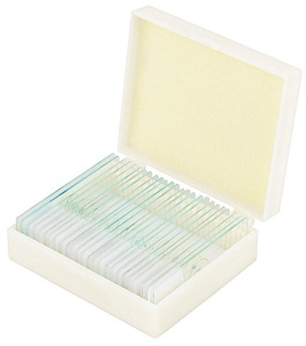25pcs Mikroskop Rutsche Biologie Glas vorgefertigte Objektträger Lab Proben mit Box