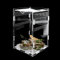 Acryl Terrarium, Terrarium Spinne, Aufzuchtbox und FüTterungsbox 12 x 12 x 20 cm, Ideal für Reptilien und Kleintiere Fütterung