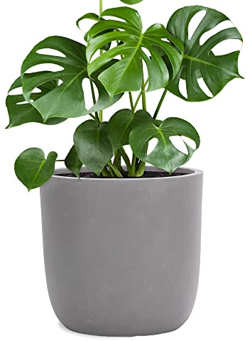 Pflanzwerk® Pflanzkübel Cup - Blumentöpfe Übertöpfe 51cm Ø GRAU *Frostbeständige Blumenkübel* *UV-Schutz* *Pflanzenkübel Premiumqualität*
