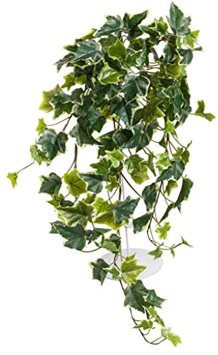 Botanic-Haus künstlicher Efeu Hängebusch, Kunstpflanze Holland Efeu ca. 65 cm lang, Farbe: grün-Creme