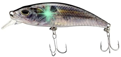 Elektronische Köder, schwimmende Robotikköder, wiederaufladbar, USB, elektrische Vibration mit LED-Licht, für Outdoor-Sportarten, geeignet für Flüsse und Küstenwasser