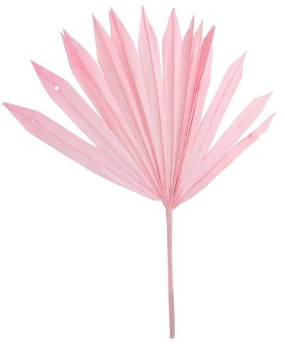 GETAJGHSD Decorazione Foglie di Palma Secche Rosa per Composizioni Floreali e Allestimenti Festa, Materiale Naturale per Decorazioni Casa, Matrimoni e Interni ed Esterni