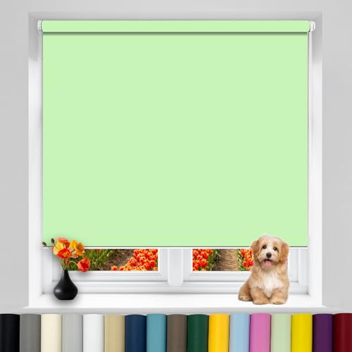 Plissee ohne Bohren 95 x 160 cm Duo Rollo Zebrarollo, Tag und Nacht Duo Rollo Sonnenchutz Sichtschutz und Sonnenchutz für Fenster & Tür, Zart Grün