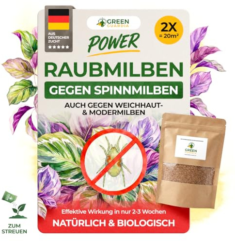 GREEN GUARDIA Power Raubmilben gegen Spinnmilben –Streuware mit 2x Tüten für 20m² - Biologisches Mittel zur effektiven Thripse Bekämpfung für Zimmer- & Zierpflanzen uvm. - chemiefrei