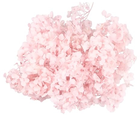 Ciieeo Ortensia Essiccata Naturale DIY Decorazioni Fiori per Matrimonio e Compleanni Freschi Conservati Colore Rosa per Artigianato Art