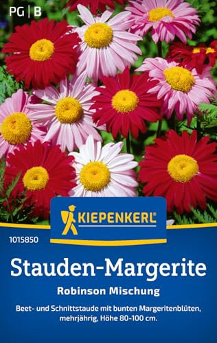 Kiepenkerl Stauden-Margeritensamen Robinson Mischung 1015850 - Mehrjährige Blumensamen mit einer Wuchshöhe von 80 bis 100 cm und einem Inhalt für 50 Pflanzen - Saatgut