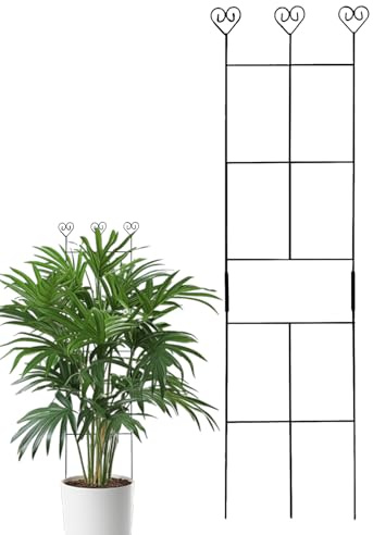 Treillis pour en Pot, Treillis pour grimpantes, Jardin extérieur, piquets en métal pour décoration de Cour pour intérieur et extérieur, Vigne, Lierre, Rose, légumes,