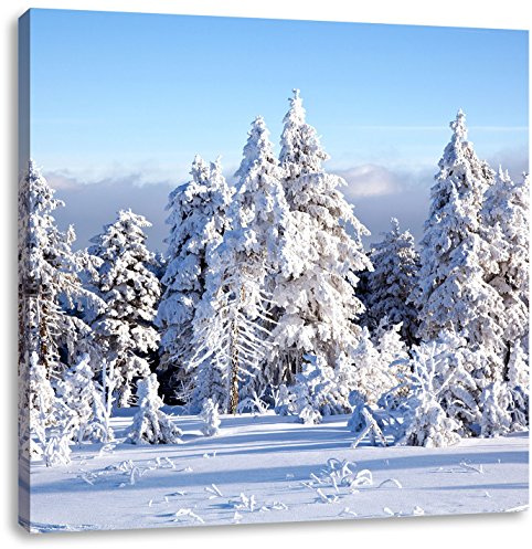 Pixxprint Winterwald, Größe: 40x40 bild, Leinwandbild Quadratisch, Wandbild, Kunstdruck, fertig bespannt