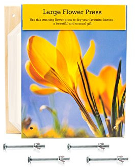 Peakdale Flower Press, Spring DELUXE Large 240mm x 190mm Wooden Flower Press Art Craft