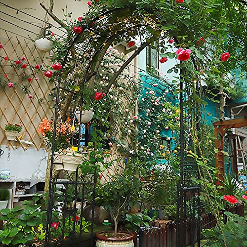 LJHSS Arche de Jardin,Arcade de rosiers en métal,Arche de Jardin avec portillon,pour Plantes grimpantes en Plein,décoration de Jardin,110x214cm(Noir)
