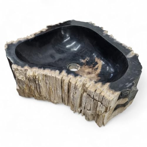 Lavabo en bois fossilisé #63 XXL - Vasque à poser en bois fossile - Vasque en pierre naturelle avec différents veinures et dégradés de couleurs (variante 63)