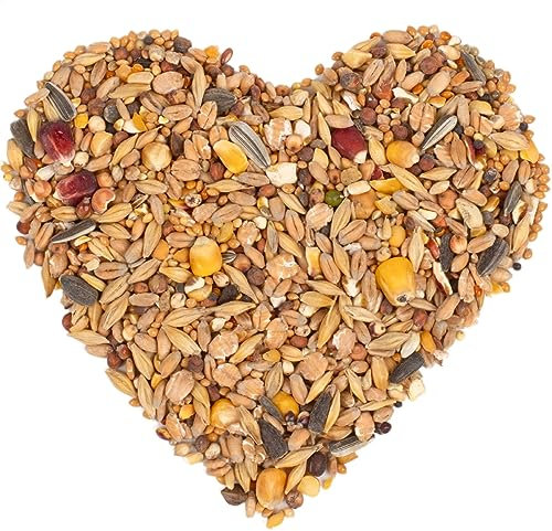 Lyra Pet® | 25 kg Streufutter aus 29 Komponenten | HK Polen | Energiespendendes Wildvogelfutter | Schnabelgerechte Zutaten | Ideal im Winter & Sommer | Optimale Vogelfutter Mischung für Körnerfresser