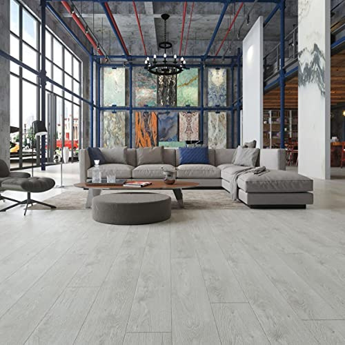 Vinylboden Eiche hellgrau Klebevinyl Holzoptik Bodenbelag Vinyl zum Kleben selbstklebend Landhausdielen 2 mm Holz Optik robuster Holzimitat Boden grau (6 m²)