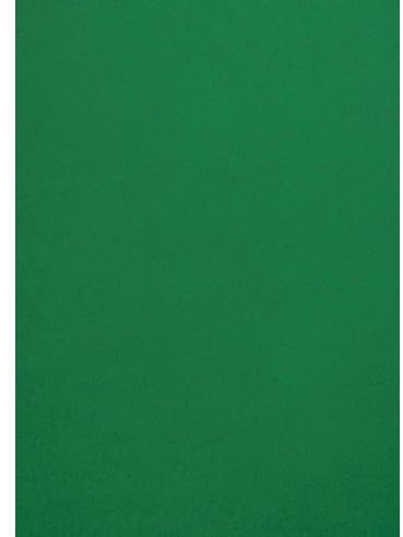 Netuno 50 Blatt Fotokarton Dunkelgrün DIN A4 21 x 29,7 cm 300g Malmero Amazone farbiger Bastelkarton A4 Farbkarton bunt für Menü-Karten Einladungen Kreativkarton dickes Bastelpapier Naturkarton