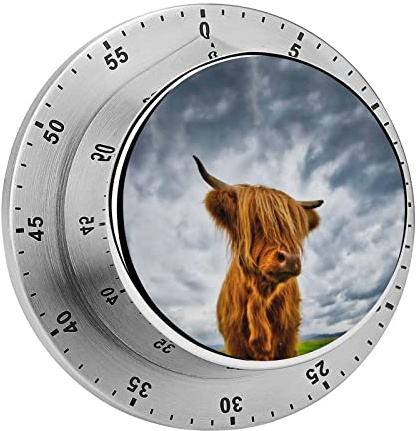 Highland Cow in The Scottish Highlands Kitchen Timer Reusable Cooking Timer Boiled Egg Timer Alarm Clock Funny Gifts