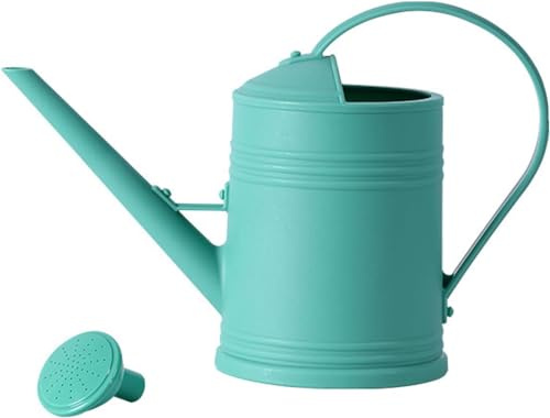 Youning - Arrosoir de jardin de 2 L en plastique - Petite arrosoir - Arrosoir pour plantes d'intérieur et fleurs - Arrosoir avec pomme amovible - Arrosoir en plastique pour l'intérieur et l'extérieur