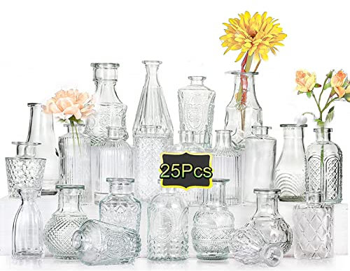 EylKoi Kleine Vasen Set 25st Kleine Vasen für Tischdeko, Vase Vintage Glas, Glasvasen für Tischdeko Klare Minivasen Set Vase Vintage Eine Blume für Rustikale Hochzeits Dekorationen,zuhause