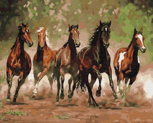 Artnapi Malen nach Zahlen Erwachsene mit Rahmen | DIY Handgemalt | Tiere - Rennpferde | Kit für Anfänger und Erwachsene | Set inklusive Acrylfarben & Pinsel | 40x50cm Leinwand | Ideal als Geschenk