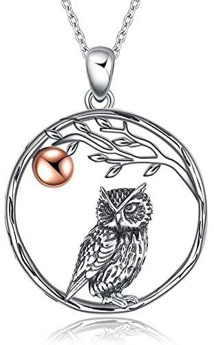 YAFEINI Eule Kette für Damen 925 Sterling Silber Eule Anhänger Schmuck Geschenk für Mama Mädchen Freund