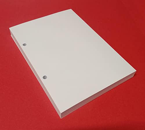 100 hojas con 2 agujeros en formato DIN A5 14,5 x 20,5 cm. Papel blanco grueso 120 g, recambio recambio para archivador con 2 anillas separadas 8 cm