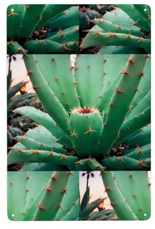 UDFKGLP Agave Cactus Pattern Tin decorative painting 8x12in Made of tinplate, wear-resistant and durable