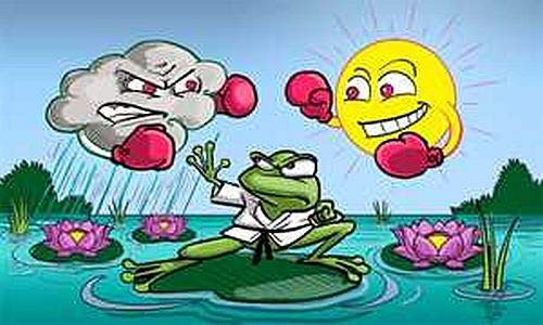 Fahne Flagge Wetterfrosch Frosch (Garten, Blumen, Sonne, Wolken, Boxer) 90x150 cm Hissfahne mit Ösen