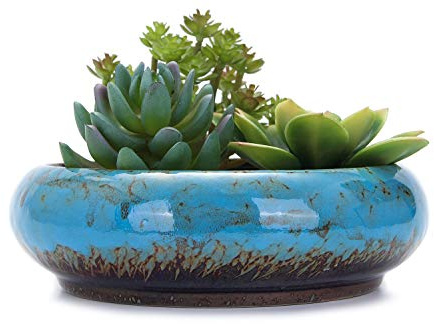 VanEnjoy Macetas Redondas Grandes de cerámica esmaltada para suculentas de 7.3 Pulgadas con Agujero de Drenaje, macetas de bonsái Decorativas para jardín, Soporte de Cactus (Azul)