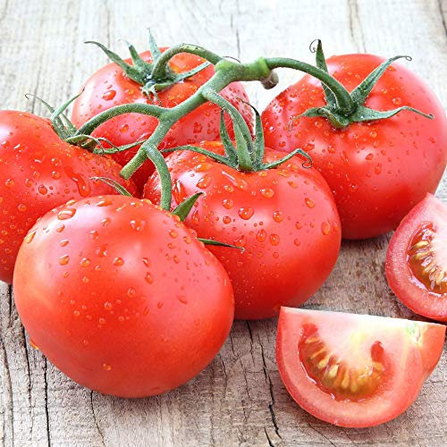 Tomato Seeds Half-Hardy Annual Grow Your Own Vegetable Plants 'Super Marmande' 1 Packet of 30 Seeds by Thompson & Morgan