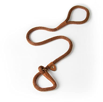 Dog & Field Lux Gewebte Retrieverleine - Earth | 1,2m | Retrieverleine für Hunde | Weiche geflochtene Hundeleine aus Seil mit Messingbeschlägen & Lederbindungen | Trainingsleine für Hunde | Kein