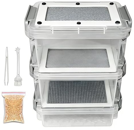 Mehlwurm Zucht Set Mit KOT Trennung & Sieb, Geruchsfreie Futterinsekt Farm Für Vögel Reptilien Hühner, Transparente Zuchtbox Mit Feuchtigkeitskontrolle Für Wohnung & Garten