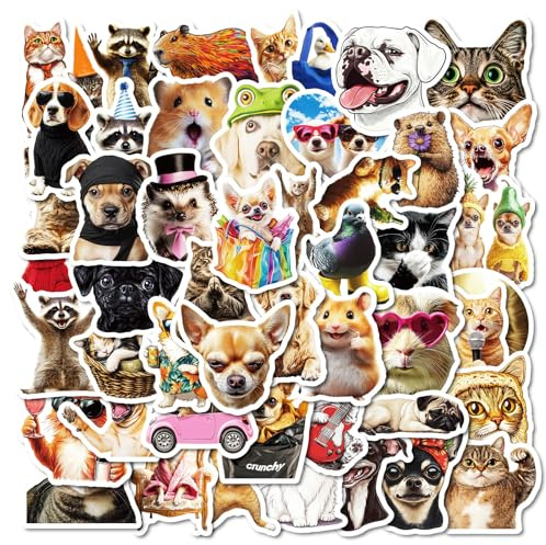 50 Pcs Internet Celebrity Dog Cat Stickers for Children Teens Girls Boys,Dog Cat Meme Stickers for Laptop Water Bottles,Bicycle,Skateboard,Computer,Waterproof Vinyl for Wall, Graffiti Stickers