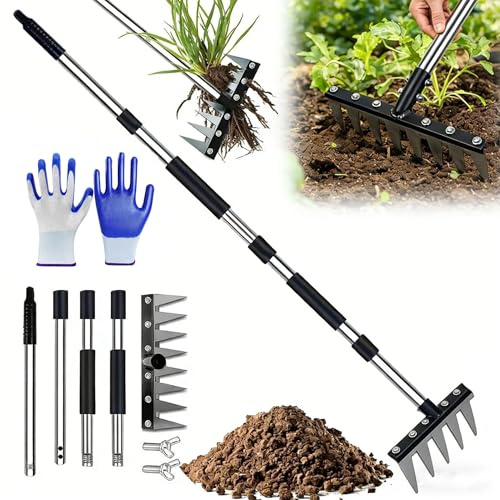 Râteau de Désherbage avec Manche Télescopique, Rateau Jardin, 5/6/7/8 Dents Rateau Scarificateur en Acier Robuste, peigner la pelouse et Ameublir (5 Dents)