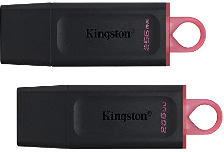 Kingston DataTraveler Exodia 256GB USB 3.2 Flash Drive DTX/256GB - 2 Pack