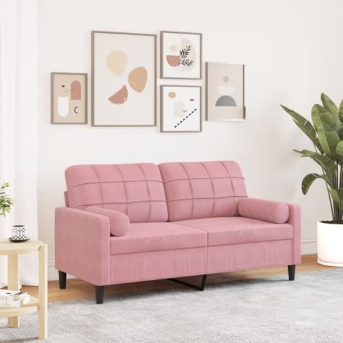 Emmtore Sofa 2-Sitzer,Couch mit Zierkissen Metallgestell, Polstersofa Stoffsofa für Wohnzimmer, Loungesofa Sitzmöbel Modern Samt Rosa,140 cm