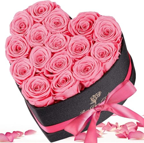 16 Ewige Rose, Infinity Rose in Herzbox, Konservierte Rose Geschenk für Frauen Mutter Ehefrau Oma zum Weihnachten Geburtstag Valentinstag Muttertag Jahrestag Rosa