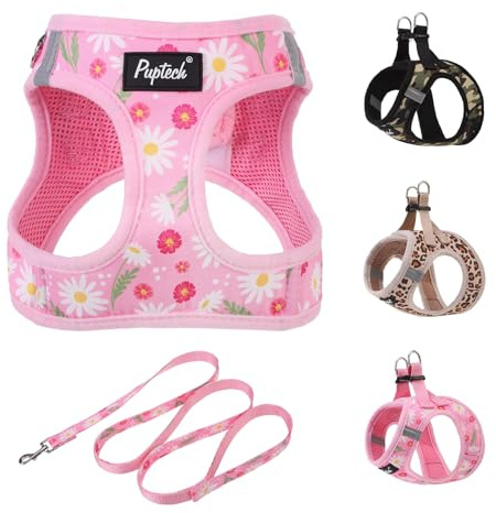 PUPTECK Hundegeschirr Und Leinen-Set Für Kleine Bis Mittlere Hunde - Weichmaschen Welpen Geschirr Mit Einfacher Einsteck-Funktion, Reflektierend Für Die Nacht, Blumen, S