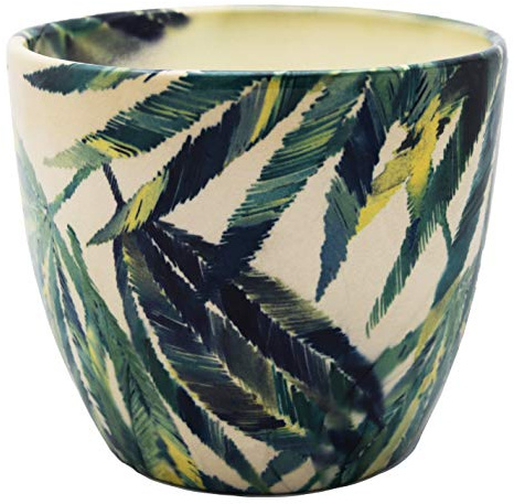 Ivyline Indoor Monza Botanical Fern Planter, Cream/Green, 15.5cm Diameter