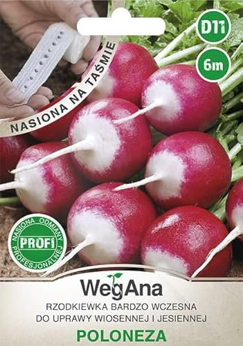 WegAna Radis Poloneza Bande de graines 6m Graines de légumes, graines de légumes Culture de graines pour serre Jardin