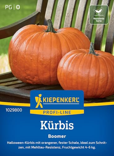 Kiepenkerl Profi-Line Kürbissamen Boomer 1029800 - Halloween Kürbis - orange - feste Schale - resistente Sorte - Samen Gemüse, Saatgut, Gemüsepflanzen