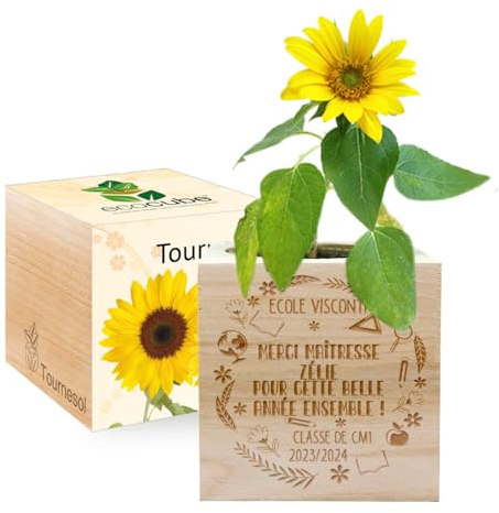 EcoCube à graver - Remerciement fin d'année scolaire - 100% Eco Friendly - Tournesol