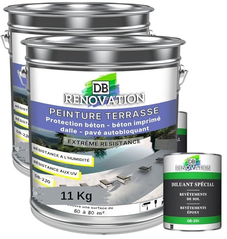 DB Rénovation PEINTURE SOL TERRASSE Extérieur pour béton, pavé - Forte protection UV - Haute imperméabilité - Passage fréquent - Gris fenêtre 11KG + 1L Diluant