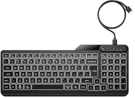 HP 400 Backlit Wired Keyboard | Warm White LED Illuminated Keys w/ 3 Brightness Levels | Slim & Portable Design | 12 Programmable Keys | USB-C cord and USB-A adapter | Spill-Resistant | Black