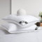 BedStory - Juego de 2 Almohadas de Hotel 60 x 60 cm, Diseño de Lujo Gris Pasapolado, Confort Garantizado con Relleno de Microfibra